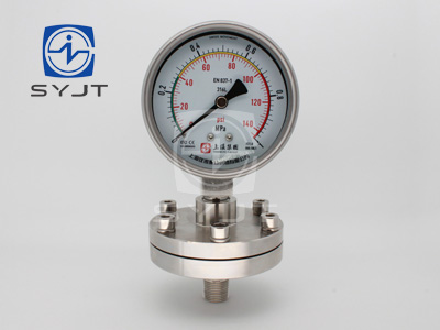 Y-100BF/Z/MF(B)/316全不锈钢隔膜压力表